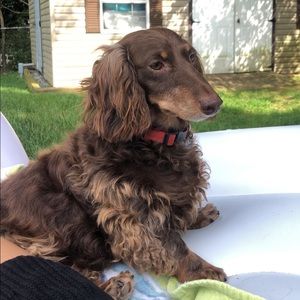 Meet your Posher, Edith